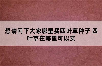 想请问下大家哪里买四叶草种子 四叶草在哪里可以买